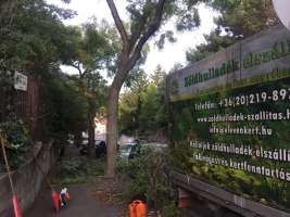Bozótirtás zöldhulladék elszállítással - zoldhulladek-szallitas.hu